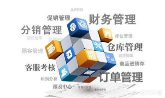 零编程经验，也能打造企业级管理软件？——新时代下的企业软件开发新路径