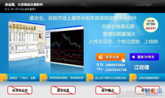 宝山区企业软件开发 驱动数字化转型，赋能区域经济高质量发展