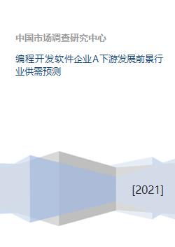 编程开发软件企业A下游发展前景 行业供需预测与企业SD软件开发领先之道